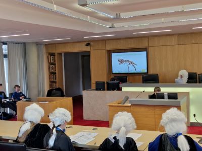 barristers in mock trial - the case of the falling dinosaur